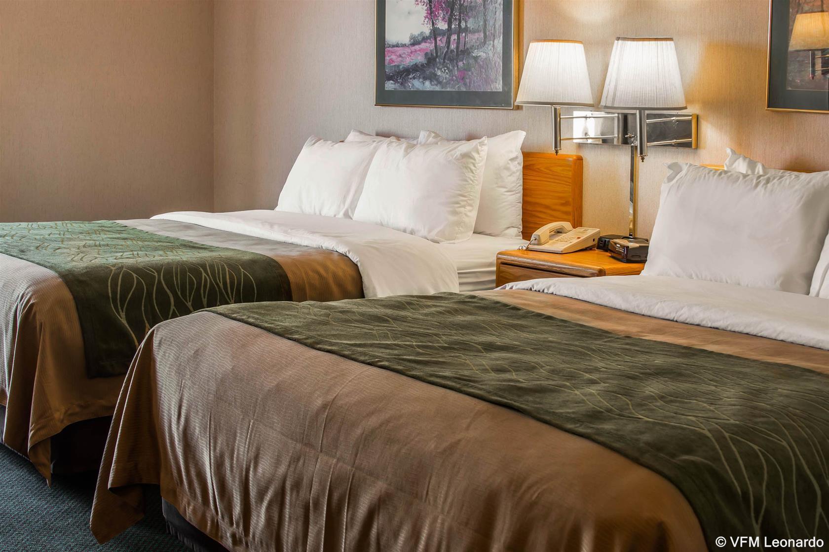 Comfort Inn Charlotte Zewnętrze zdjęcie