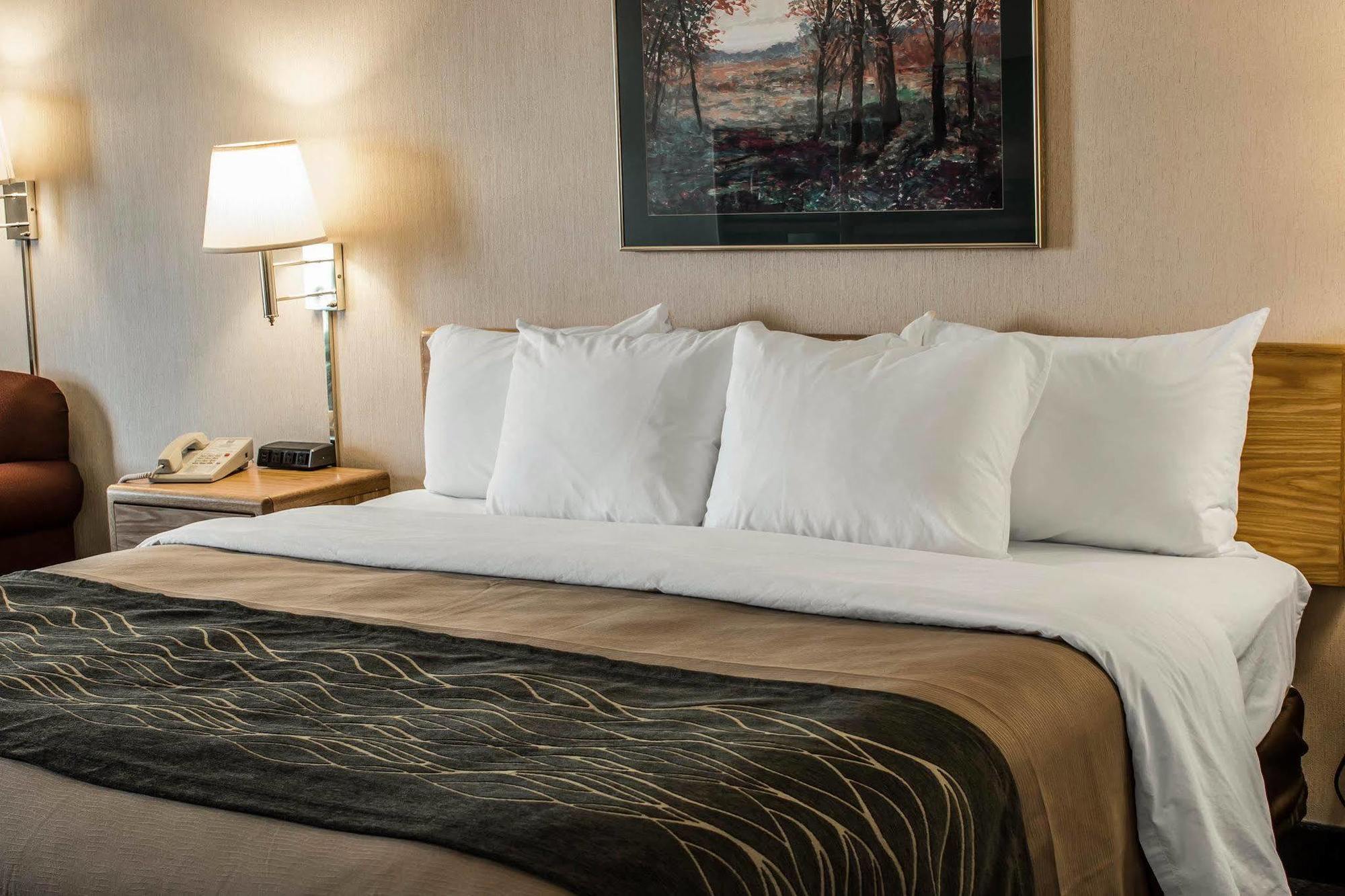 Comfort Inn Charlotte Zewnętrze zdjęcie